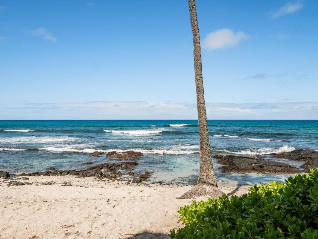 Oceanfront 1 Bedroom 2 Bathroom With Large Lanai - Kona Bali Kai 218 Kailua-Kona Luaran gambar