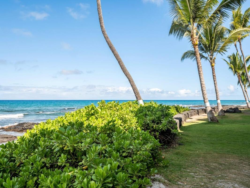 Oceanfront 1 Bedroom 2 Bathroom With Large Lanai - Kona Bali Kai 218 Kailua-Kona Luaran gambar